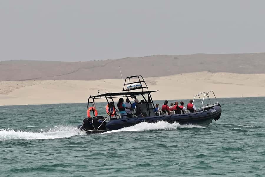 Boavista: Whale Watching half day trip - Practical advice for a better outing