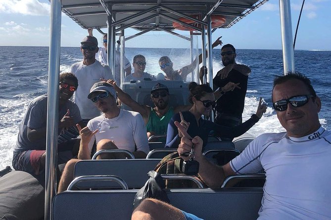 Bora Bora Whale Watching - The crew makes a real difference