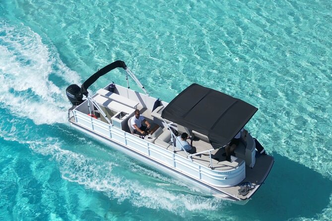 Bora Bora Whale Watching - Is $309.73 a fair price?
