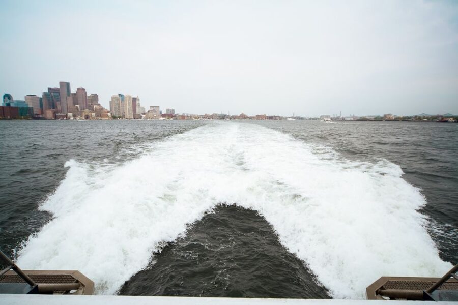 Boston: City Cruises Whale Watching Cruise - Key points to know before you go