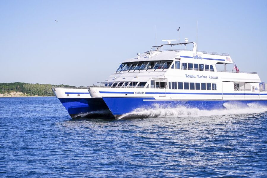 Boston: City Cruises Whale Watching Cruise - Stellwagen Bank is where the action happens