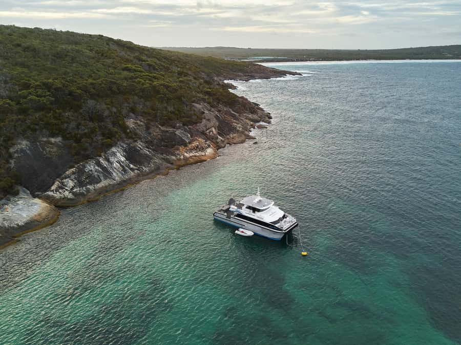 Bremer Bay: Bremer Canyon Killer Whale Expedition - Food, drinks and comfort during eight hours
