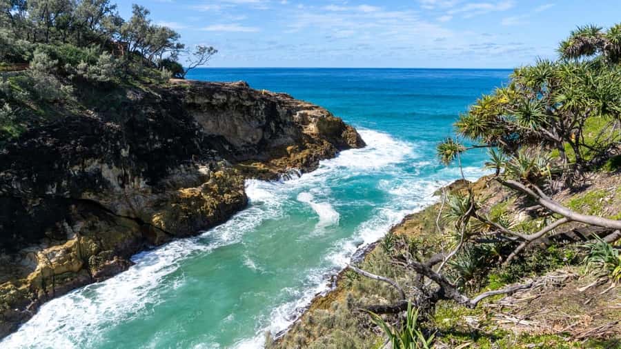 Brisbane to North Stradbroke Island Day: Wildlife & Beaches - Why this island day is worth your time
