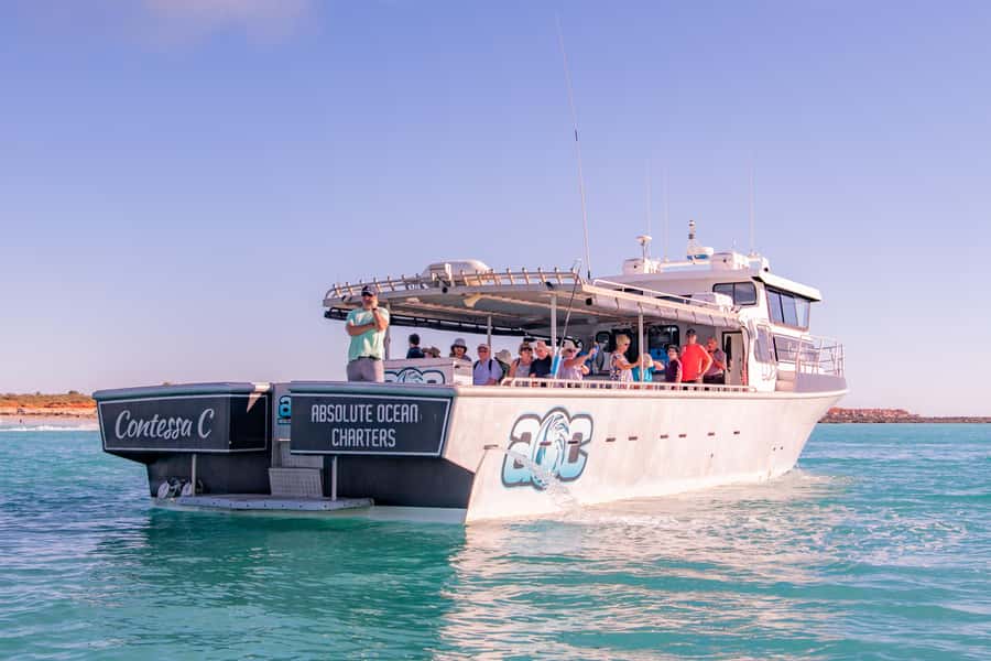 Broome Sunset & Whale Watching Cruise - Key points to know before you book