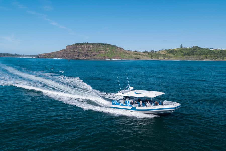 Byron Bay: Whale Watching Cruise with a Marine Biologist - How much value do you get for $91?