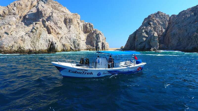 Cabo San Lucas: 2.5-Hour Whale Watching Tour - Meeting at the Tesoro Hotel requires a little attention