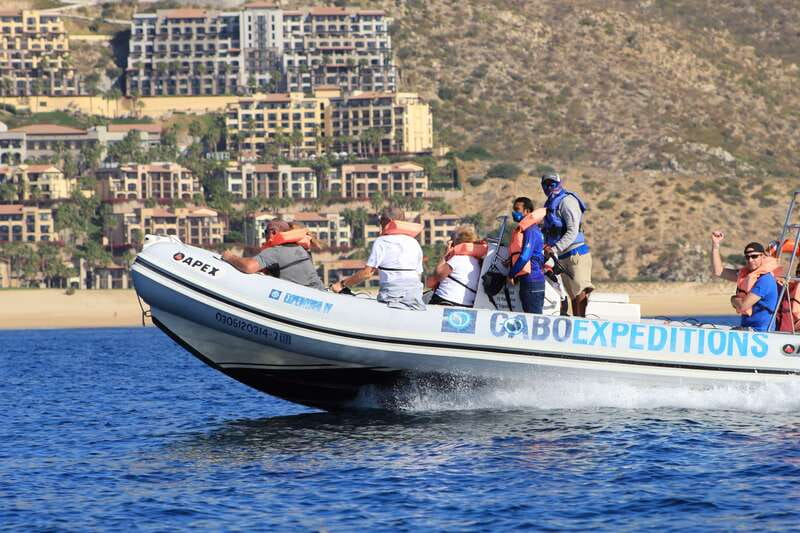 Cabo San Lucas: Up-Close Whale Watching Small-Group Tour - Why the Zodiac boat changes the experience