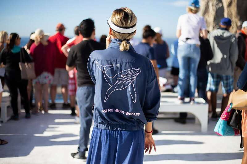 Cabo San Lucas: Whale Watching Breakfast Cruise - Key points to know before you book