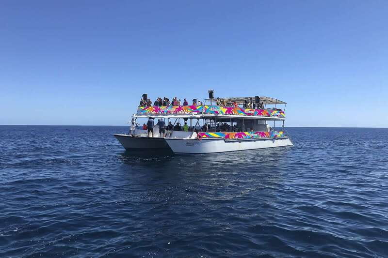 Cabo San Lucas: Whale Watching Breakfast Cruise - Whale watching with a marine biologist onboard