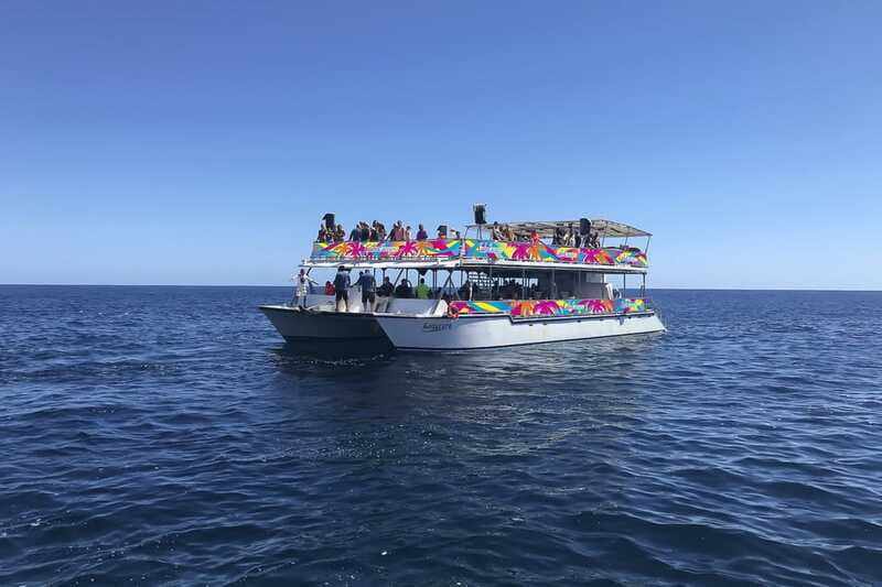 Cabo San Lucas: Whale Watching Breakfast Cruise - Who will enjoy this cruise most