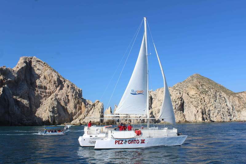 Cabo San Lucas: Whale Watching Experience on Catamaran - Breakfast in the morning, lunch in the afternoon