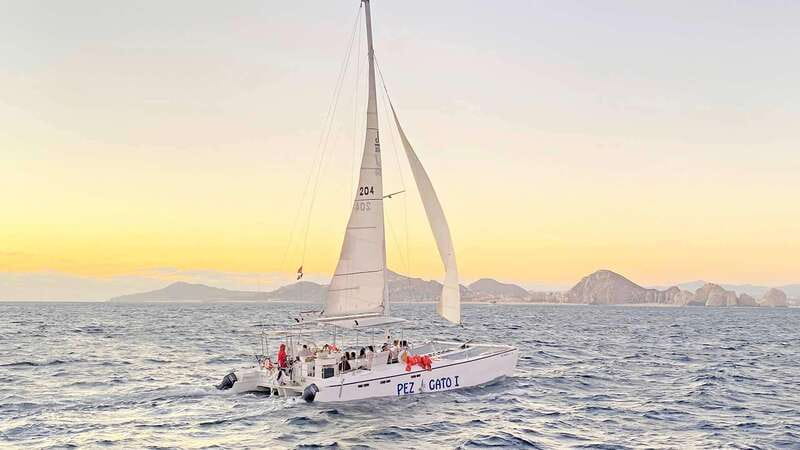 Cabo San Lucas: Whale Watching Experience on Catamaran - Who will enjoy this cruise most?