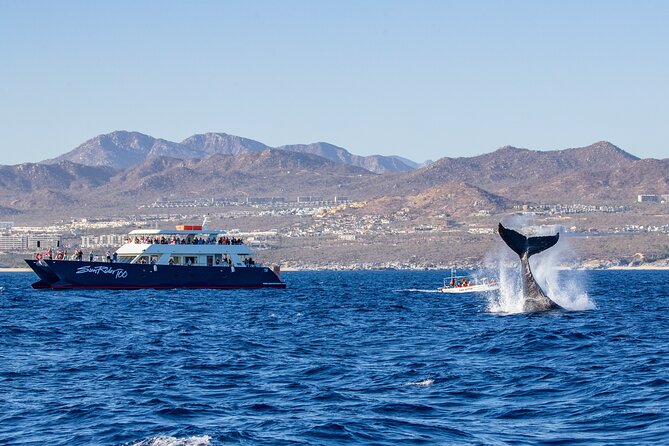 Cabo San Lucas Whale Watching Lunch Cruise - El Arco sets the scene