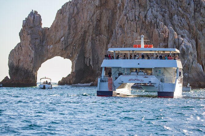 Cabo San Lucas Whale Watching Lunch Cruise - Who will enjoy this Cabo cruise most?