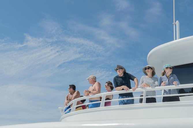 Cabo Whale Watch Three-Level Vessel and Majestic Arch - El Arco, Cabo’s essential photo stop