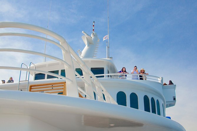 Cabo Whale Watch Three-Level Vessel and Majestic Arch - How the two-hour pace feels