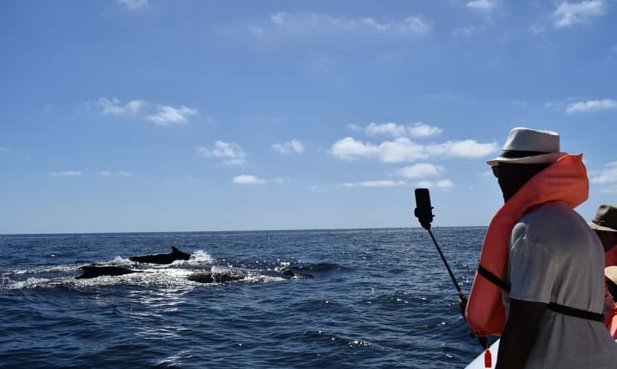 Cabo: Whale-Whatching Boat Trip w/ All-Women Crew and Photos - Why the $91 price can make sense
