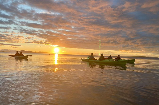 Cafes and Kayaks: Full Day Kayaking Adventure on Orcas Island - Why a guide is worth the $149 price