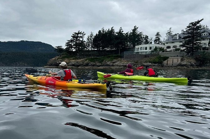 Cafes and Kayaks: Full Day Kayaking Adventure on Orcas Island - Wildlife, geology, and the kind of day you get