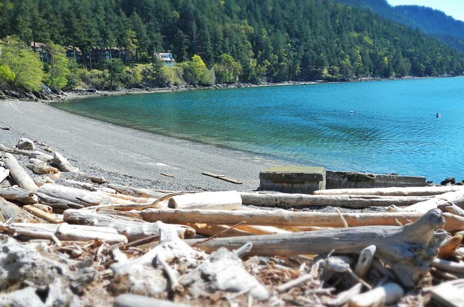 Cafes and Kayaks: Full Day Kayaking Adventure on Orcas Island - Who will enjoy this Orcas Island outing