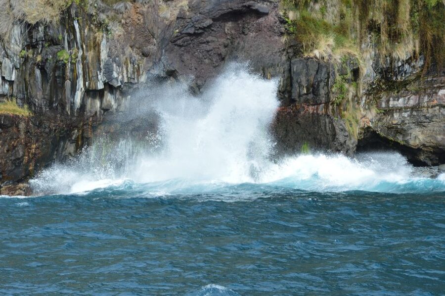 Calheta: Whale & dolphin watching small groups designer tour - Key points to know before booking