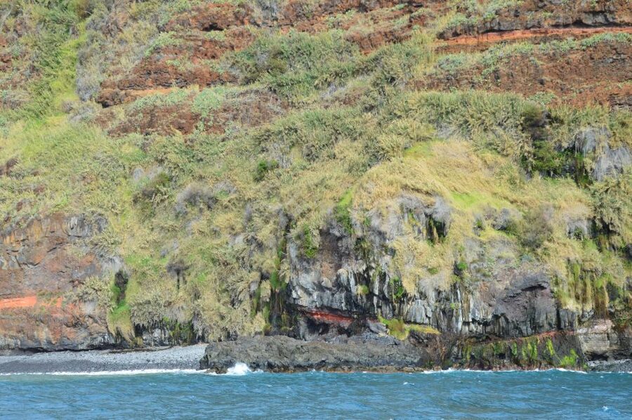 Calheta: Whale & dolphin watching small groups designer tour - Is $342 good value for five people?
