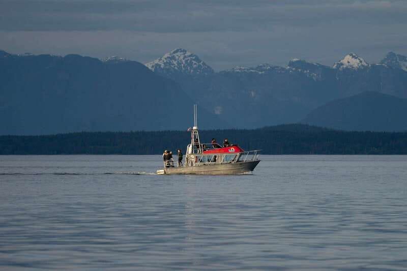 Campbell River: 6-Hour Whale Watching Boat Tour - A 30-minute lunch stop with homemade food