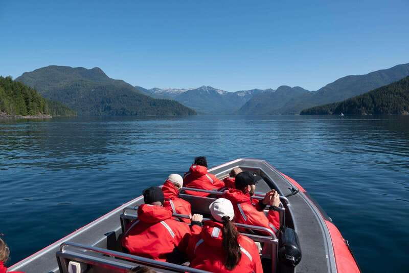 Campbell River: 6-Hour Whale Watching Boat Tour - Who should book this Campbell River tour?