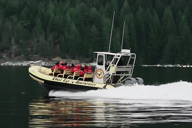 Campbell River, BC: 4 Hour Wildlife Tour Featuring Whale Watching - Key things to know before you go