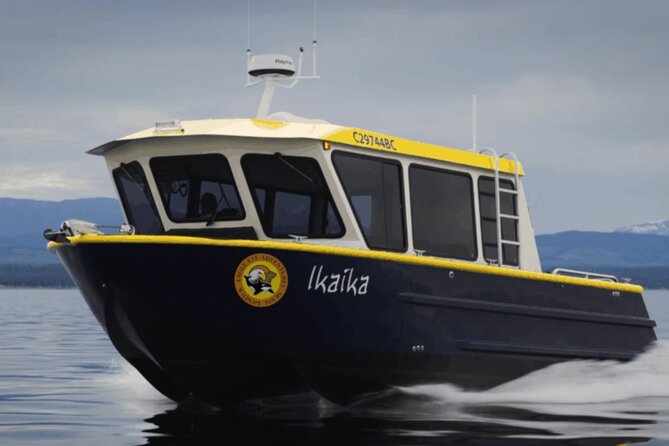 Campbell River, BC: 4 Hour Wildlife Tour Featuring Whale Watching - Setting out from Campbell River on a powerful Zodiac