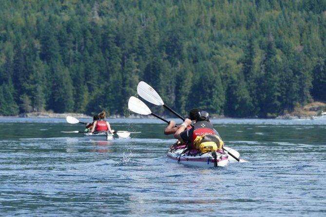 Campbell River: Kayaking and Whale Watching Tour - Reaching the Discovery Islands by boat