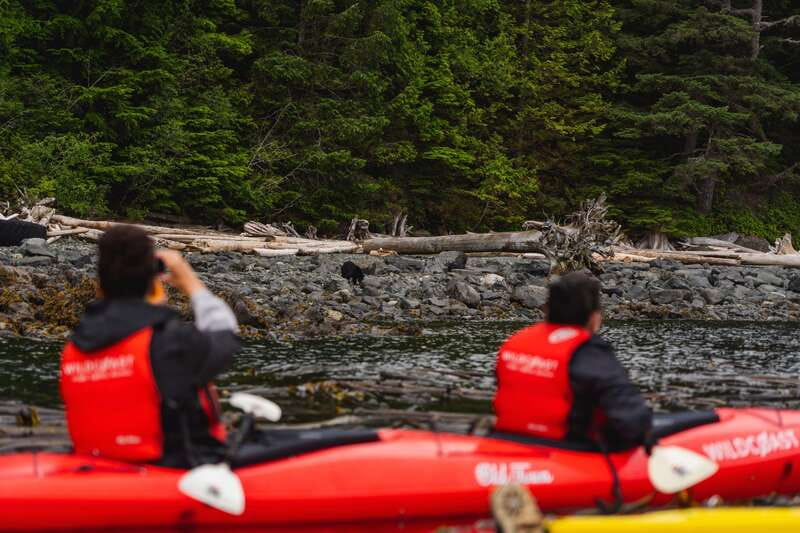 Campbell River: Kayaking and Whale Watching Tour - The kayak portion: quiet water and remote access