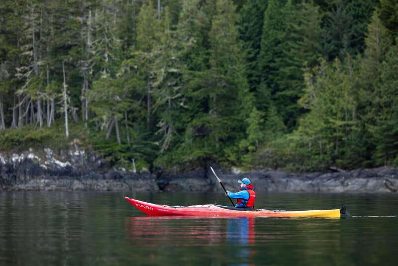 Campbell River: Kayaking and Whale Watching Tour - Wild 1 and the whale search