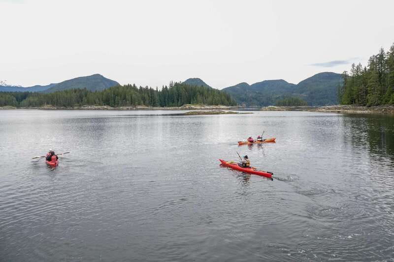 Campbell River: Kayaking and Whale Watching Tour - Who should book this Campbell River day trip