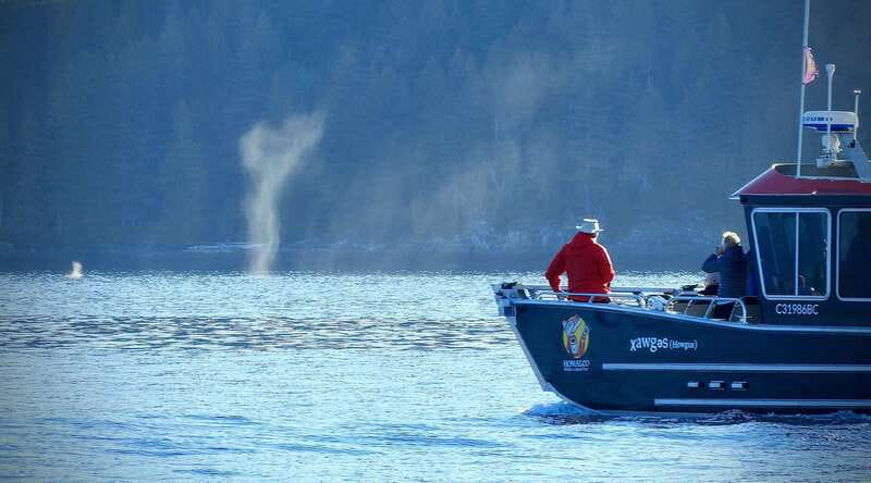 Campbell River: Salish Sea Whale Watching Adventure - Searching the Discovery Island waterways