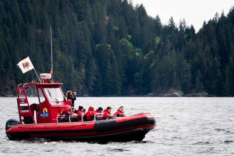 Campbell River: Whale Watching and Wildlife Viewing Day Tour - Booking details worth knowing