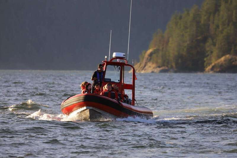 Campbell River: Whale & Wildlife Discovery Cruise - The four-hour pace and onboard comfort