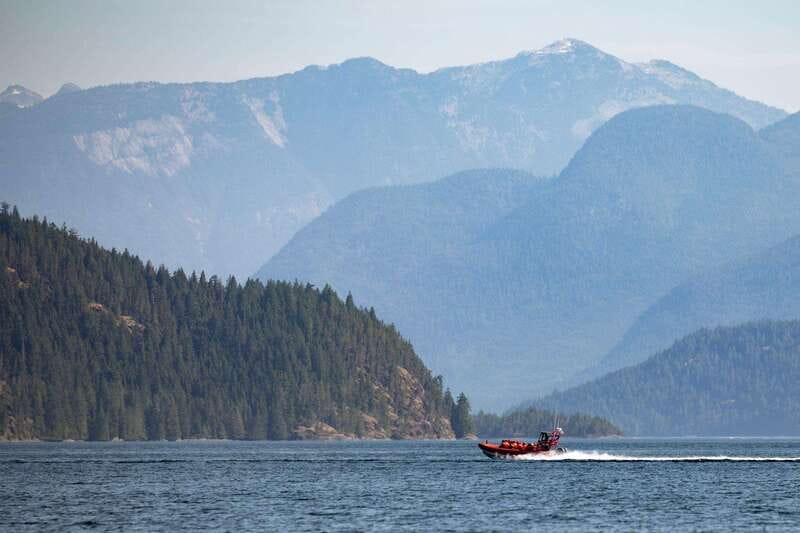 Campbell River: Whale & Wildlife Discovery Cruise - Weather, visibility, and real expectations