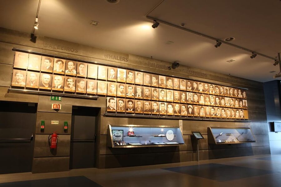 Caniçal : Madeira Whale Museum Entry ticket - Using the five-language audio guide