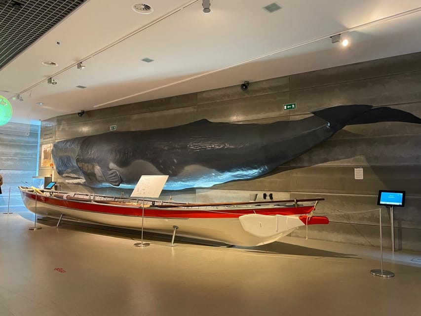 Caniçal : Madeira Whale Museum Entry ticket - The temporary exhibition adds a changing element
