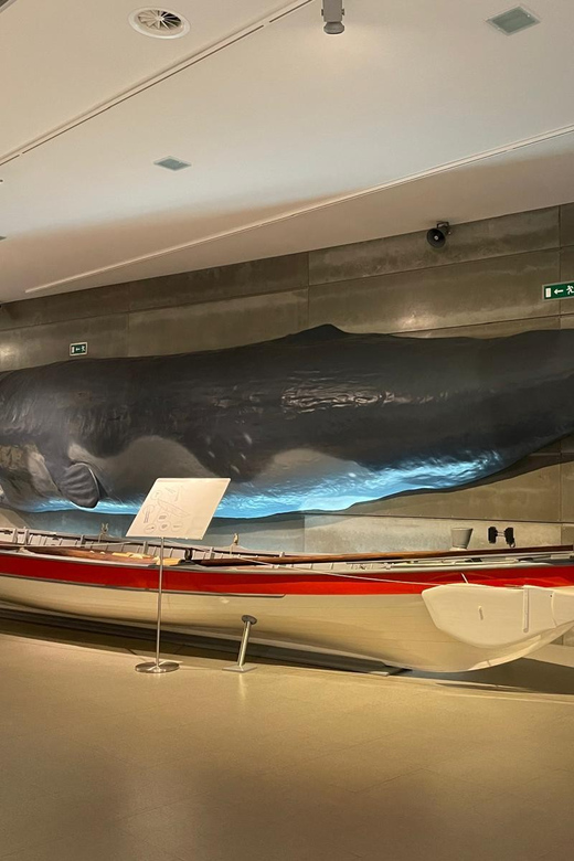 Caniçal : Madeira Whale Museum Entry ticket - Who will enjoy this visit most?