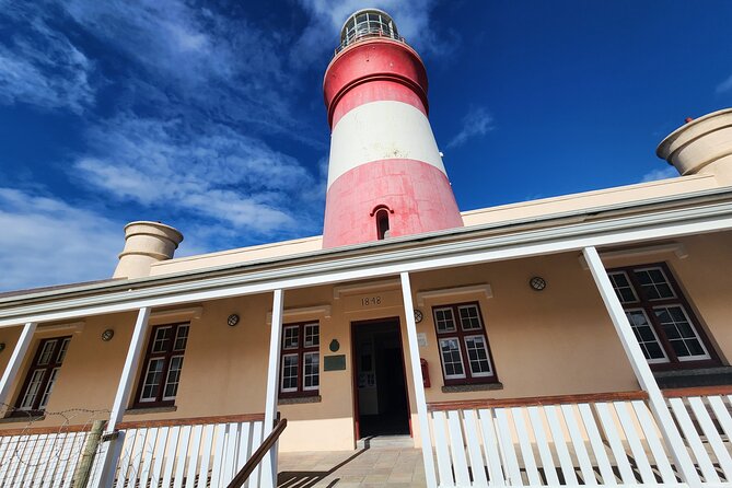 Cape Agulhas, Hermanus Whale Watching, Penguins and Wine Tasting - Stony Point and the African Penguin Colony