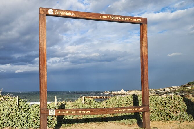 Cape Agulhas, Hermanus Whale Watching, Penguins and Wine Tasting - Stellenbosch Wine Country If Time Allows