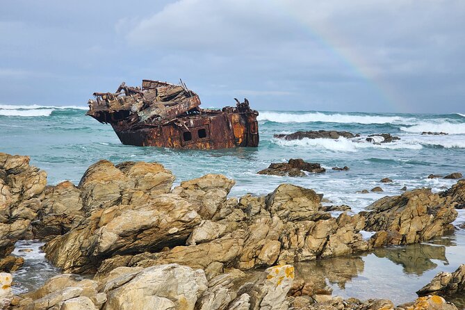 Cape Agulhas, Hermanus Whale Watching, Penguins and Wine Tasting - Who Should Book This Day Trip?