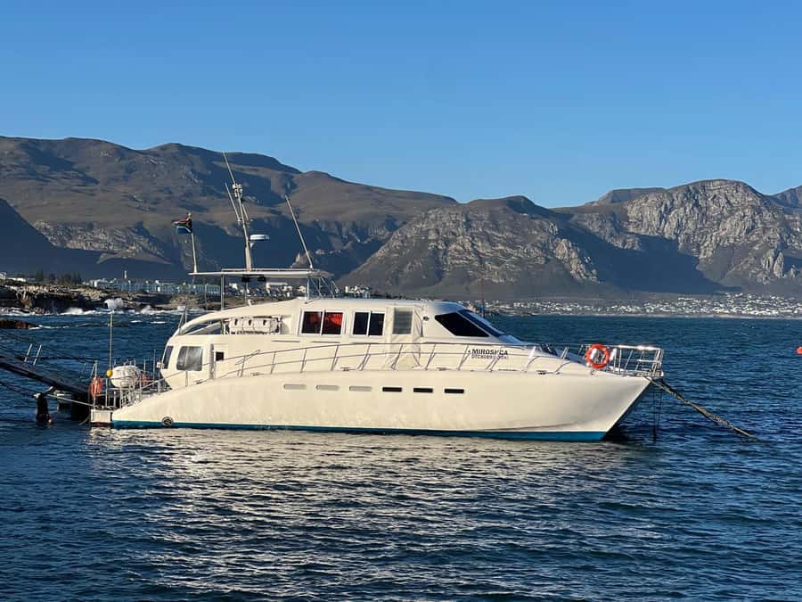 Cape Agulhas, Hermanus whales & Wine Tasting Day Trip - Cape Agulhas and the true southern tip of Africa