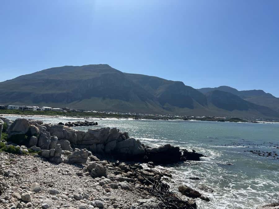 Cape Agulhas, Hermanus whales & Wine Tasting Day Trip - Hermanus and the chance to see southern right whales