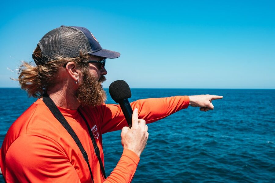 Cape May: Jersey Shore Whale and Dolphin Watching Cruise - Should you book the Cape May Whale and Dolphin Cruise?
