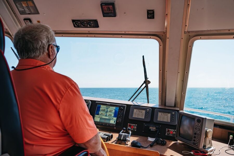 Cape May: Jersey Shore Whale and Dolphin Watching Cruise - Starting at Miss Chris Marina in Cape May