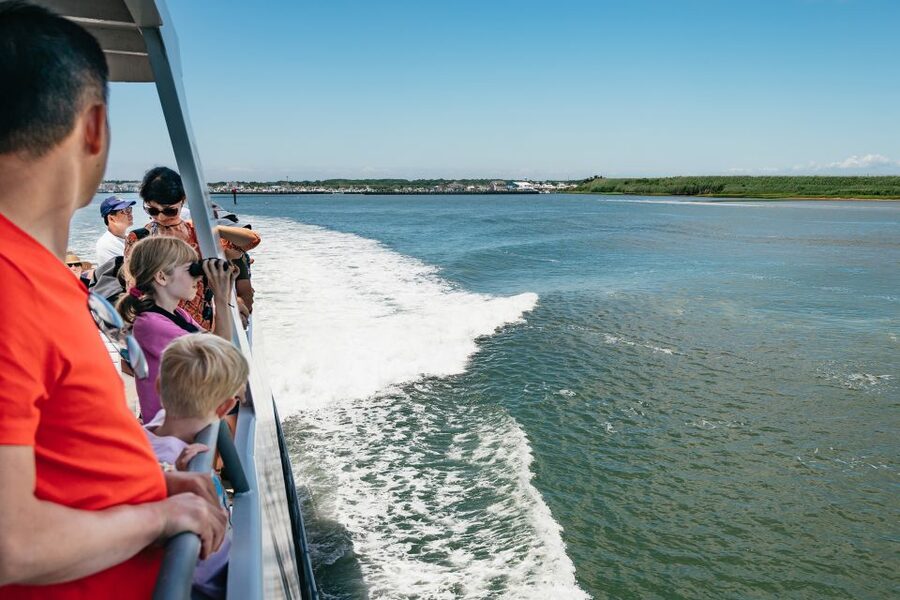 Cape May: Jersey Shore Whale and Dolphin Watching Cruise - The boat, seating, snacks, and comfort