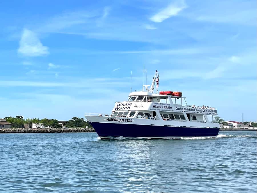 Cape May: Scenic Whale and Dolphin Watching Cruise - Whale watching beyond the shoreline